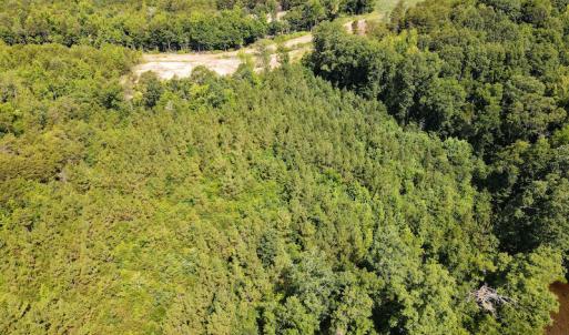 Photo #7 of Off Park Springs Lake Road, Providence, NC 16.0 acres