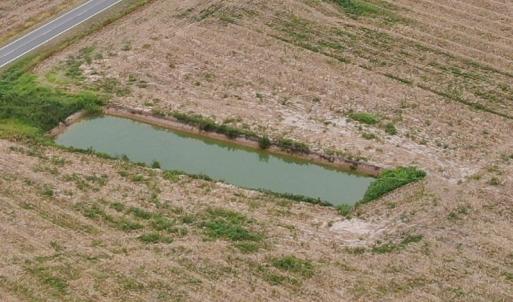 Photo #5 of SOLD property in OFF NC HWY 130 W, Rowland, NC 16.0 acres