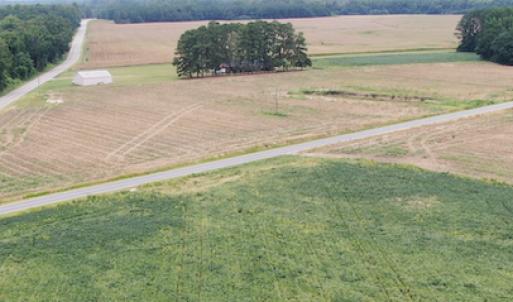 Photo #4 of SOLD property in OFF NC HWY 130 W, Rowland, NC 16.0 acres