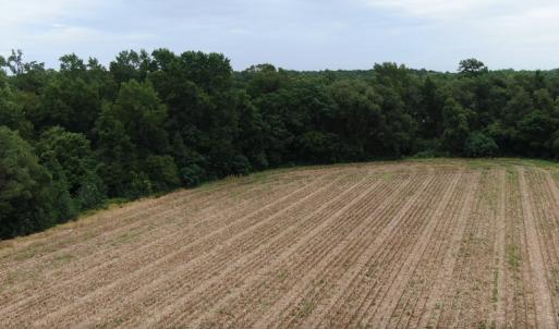 Photo #7 of SOLD property in OFF NC HWY 130 W, Rowland, NC 16.0 acres