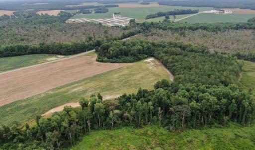 Photo #7 of SOLD property in OFF NC HWY 130 W , Rowland, NC 23.0 acres