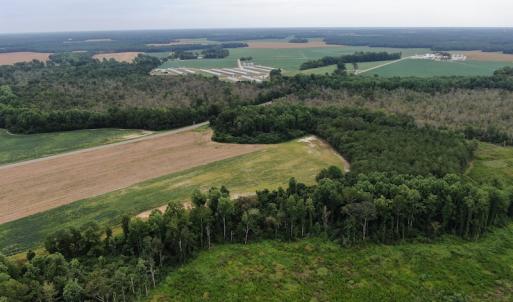 Photo #8 of SOLD property in OFF NC HWY 130 W , Rowland, NC 23.0 acres
