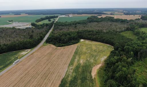 Photo #9 of SOLD property in OFF NC HWY 130 W , Rowland, NC 23.0 acres