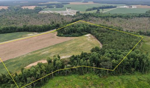 Photo #2 of SOLD property in OFF NC HWY 130 W , Rowland, NC 23.0 acres