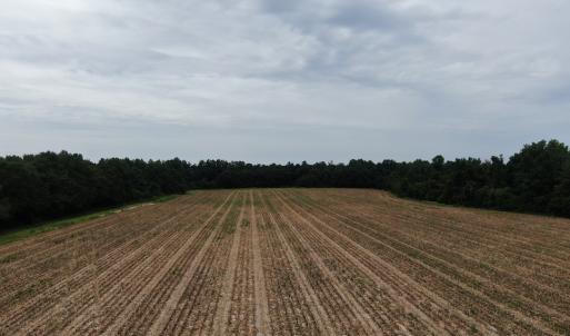 Photo #3 of SOLD property in Off NC HWY 130 W, Rowland, NC 90.0 acres