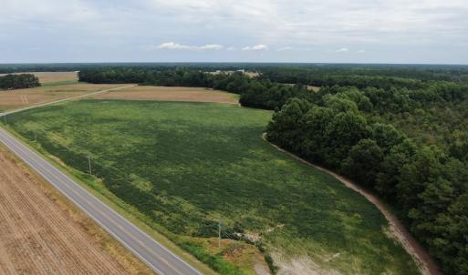 Photo #5 of Off NC HWY 130 W, Rowland, NC 90.0 acres