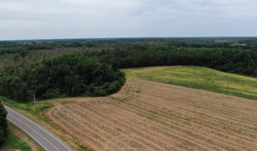 Photo #6 of SOLD property in Off NC HWY 130 W, Rowland, NC 90.0 acres
