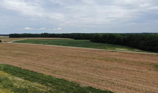 Photo #7 of SOLD property in Off NC HWY 130 W, Rowland, NC 90.0 acres