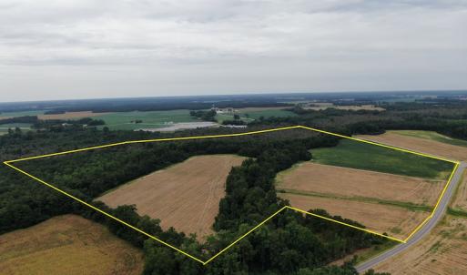 Photo #2 of SOLD property in Off NC HWY 130 W, Rowland, NC 90.0 acres
