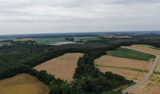 Photo #9 of SOLD property in Off NC HWY 130 W, Rowland, NC 90.0 acres