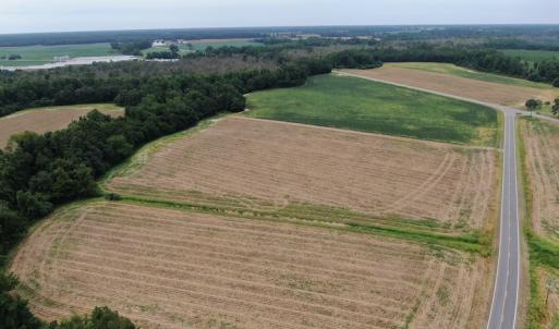 Photo #10 of SOLD property in Off NC HWY 130 W, Rowland, NC 90.0 acres