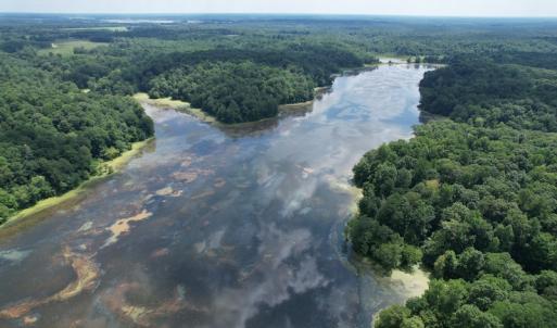Photo #10 of SOLD property in Off Sunken Meadow Road, Spring Grove, VA 678.6 acres