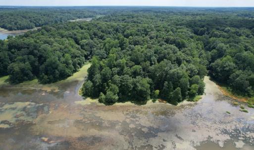 Photo #12 of SOLD property in Off Sunken Meadow Road, Spring Grove, VA 678.6 acres
