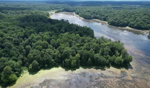 Photo #13 of SOLD property in Off Sunken Meadow Road, Spring Grove, VA 678.6 acres