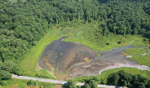 Photo #15 of SOLD property in Off Sunken Meadow Road, Spring Grove, VA 678.6 acres