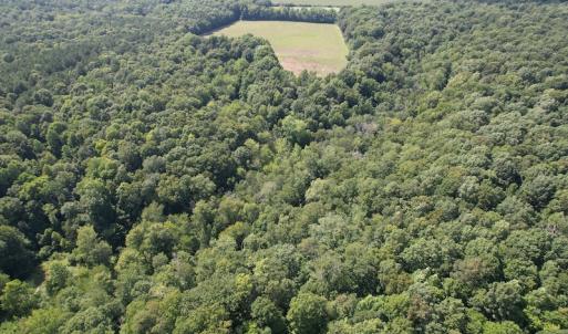 Photo #17 of SOLD property in Off Sunken Meadow Road, Spring Grove, VA 678.6 acres