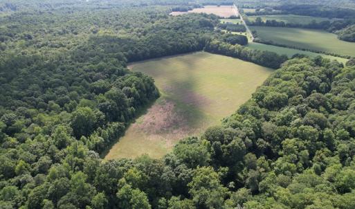Photo #18 of SOLD property in Off Sunken Meadow Road, Spring Grove, VA 678.6 acres