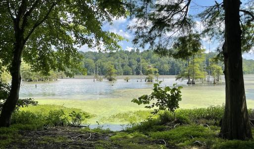 Photo #24 of SOLD property in Off Sunken Meadow Road, Spring Grove, VA 678.6 acres