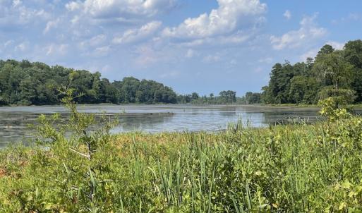 Photo #26 of SOLD property in Off Sunken Meadow Road, Spring Grove, VA 678.6 acres
