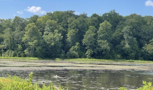 Photo #27 of SOLD property in Off Sunken Meadow Road, Spring Grove, VA 678.6 acres