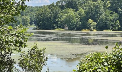 Photo #29 of SOLD property in Off Sunken Meadow Road, Spring Grove, VA 678.6 acres