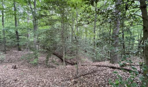 Photo #32 of SOLD property in Off Sunken Meadow Road, Spring Grove, VA 678.6 acres