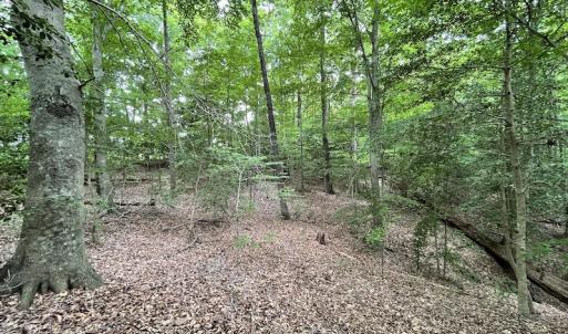 Photo #33 of SOLD property in Off Sunken Meadow Road, Spring Grove, VA 678.6 acres