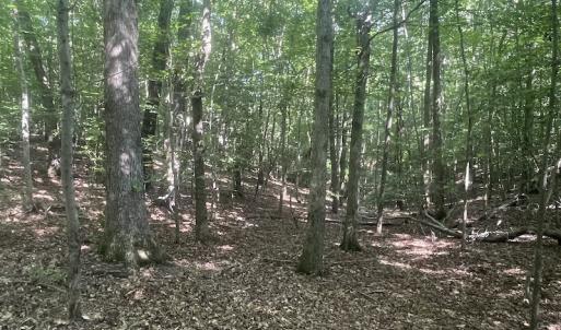 Photo #34 of SOLD property in Off Sunken Meadow Road, Spring Grove, VA 678.6 acres