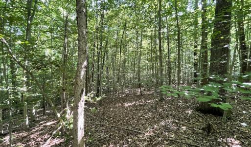 Photo #35 of SOLD property in Off Sunken Meadow Road, Spring Grove, VA 678.6 acres