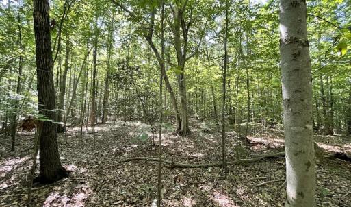 Photo #36 of SOLD property in Off Sunken Meadow Road, Spring Grove, VA 678.6 acres