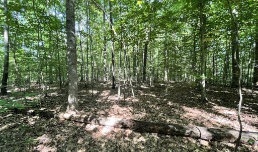 Photo #37 of SOLD property in Off Sunken Meadow Road, Spring Grove, VA 678.6 acres