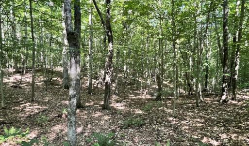 Photo #38 of SOLD property in Off Sunken Meadow Road, Spring Grove, VA 678.6 acres