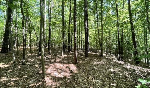 Photo #39 of SOLD property in Off Sunken Meadow Road, Spring Grove, VA 678.6 acres