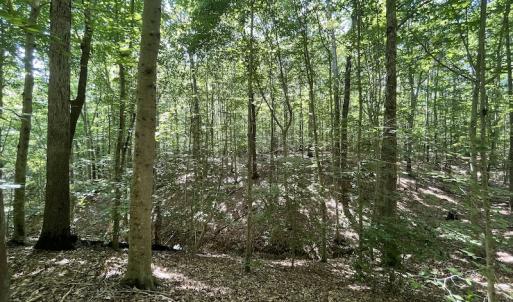 Photo #40 of SOLD property in Off Sunken Meadow Road, Spring Grove, VA 678.6 acres