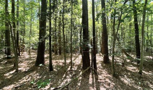 Photo #41 of SOLD property in Off Sunken Meadow Road, Spring Grove, VA 678.6 acres