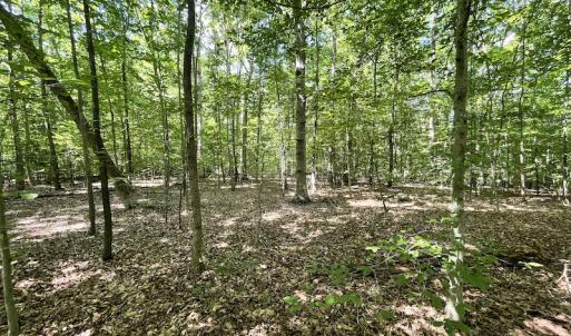 Photo #42 of SOLD property in Off Sunken Meadow Road, Spring Grove, VA 678.6 acres
