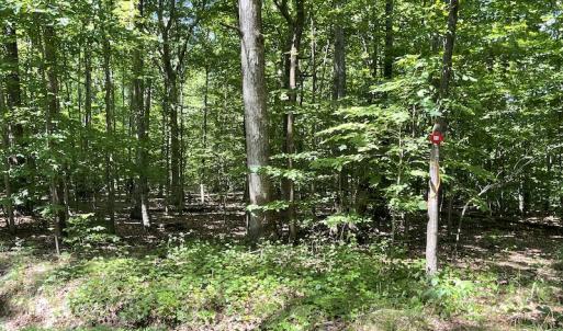 Photo #43 of SOLD property in Off Sunken Meadow Road, Spring Grove, VA 678.6 acres