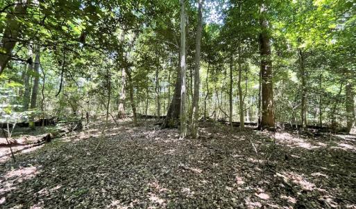 Photo #44 of SOLD property in Off Sunken Meadow Road, Spring Grove, VA 678.6 acres