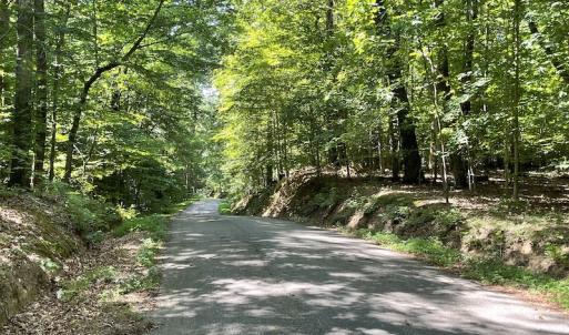 Photo #46 of SOLD property in Off Sunken Meadow Road, Spring Grove, VA 678.6 acres