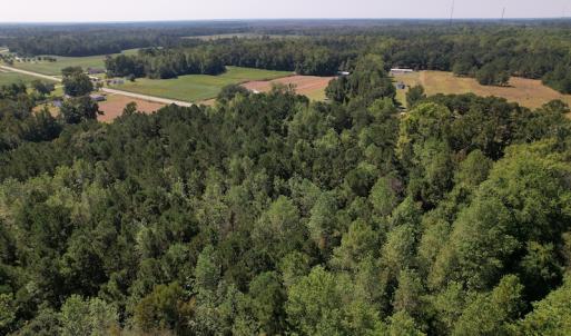 Photo #6 of SOLD property in Off Wilmington Highway, Orrum, NC 4.7 acres