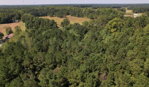 Photo #7 of SOLD property in Off Wilmington Highway, Orrum, NC 4.7 acres