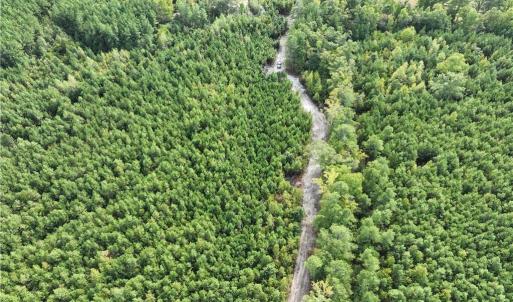 Photo #40 of SOLD property in Off Manning Drive, Valentines, VA 36.0 acres