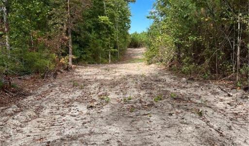 Photo #42 of SOLD property in Off Manning Drive, Valentines, VA 36.0 acres