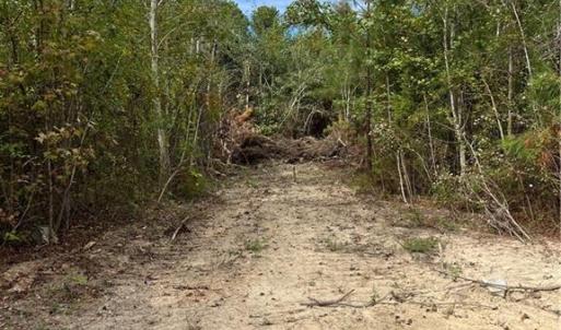 Photo #43 of SOLD property in Off Manning Drive, Valentines, VA 36.0 acres