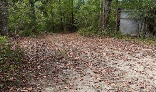 Photo #44 of SOLD property in Off Manning Drive, Valentines, VA 36.0 acres