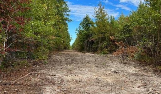Photo #45 of SOLD property in Off Manning Drive, Valentines, VA 36.0 acres