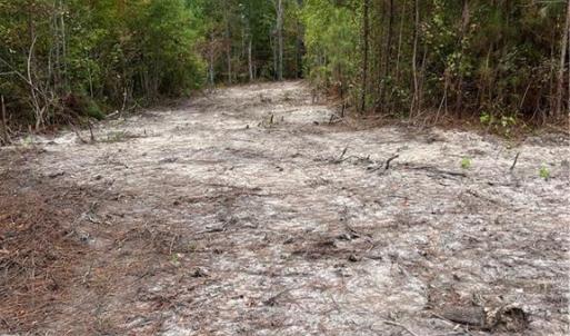 Photo #46 of SOLD property in Off Manning Drive, Valentines, VA 36.0 acres