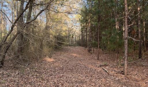 Photo #31 of 30075 Meherrin Road, Boykins, VA 116.0 acres