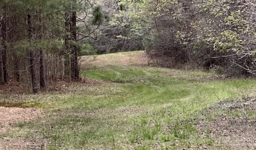 Photo #35 of 30075 Meherrin Road, Boykins, VA 116.0 acres