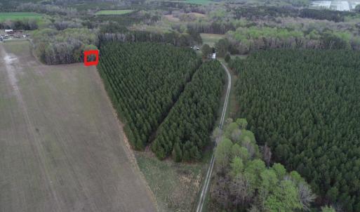 Photo #2 of 30075 Meherrin Road, Boykins, VA 116.0 acres